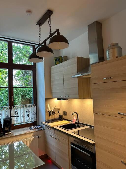 Ruhige Wohnung Im Fabrikstil In ケムニッツ エクステリア 写真